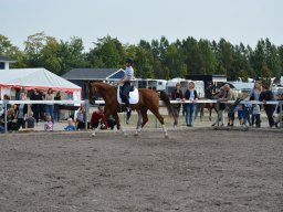 DSC_9244_web